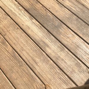 Meet your Posher, Nevaeh